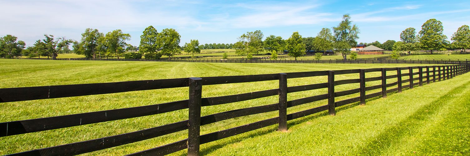 Land for Sale in Spartanburg SC